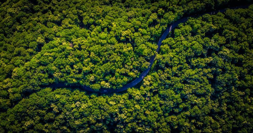 Small Island Developing States and coastal African nations are among the most vulnerable to climate change
